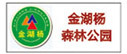 新疆泽普金胡杨国家森林公园